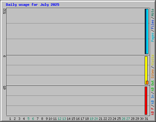 Daily usage for July 2025