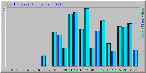Hourly usage for January 2026
